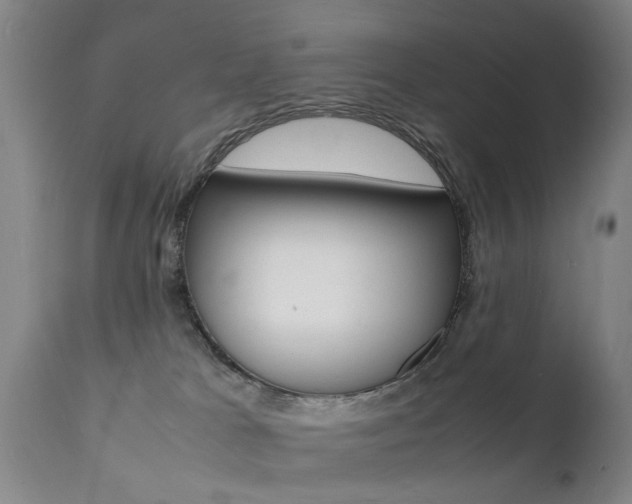 X0000112150037200908071013