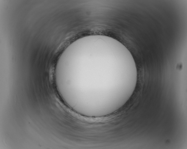 X0000112150038200908071013