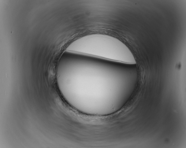 X0000112150040200908071013