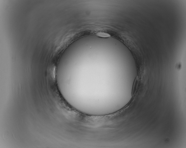 X0000112150041200908071013