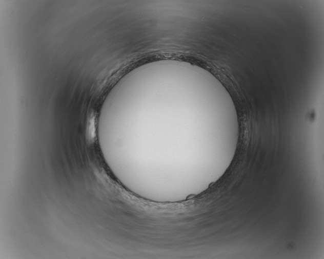 X0000112150042200908071013