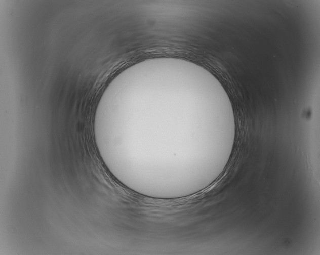 X0000112150045200908071013