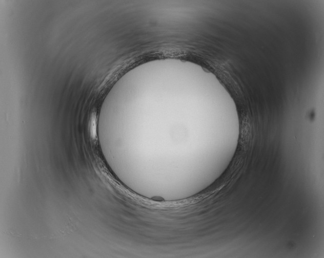 X0000112150046200908071013
