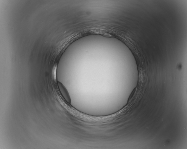 X0000112150047200908071013