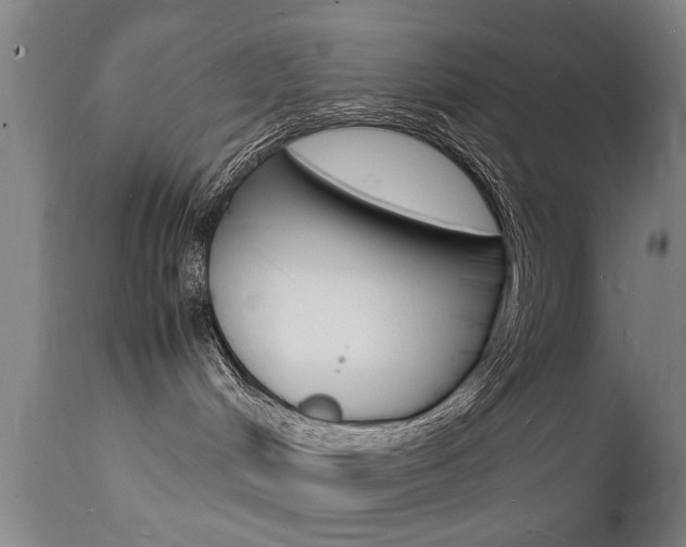 X0000112150048200908071013