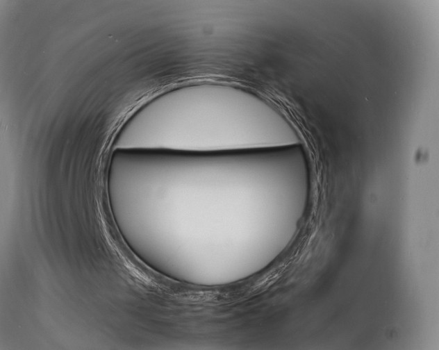 X0000112150049200908071012