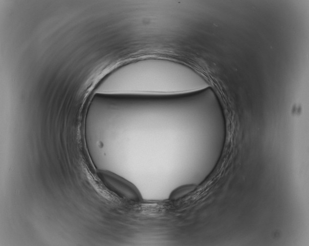 X0000112150050200908071012