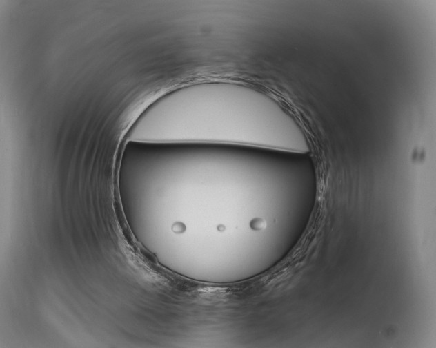 X0000112150052200908071013