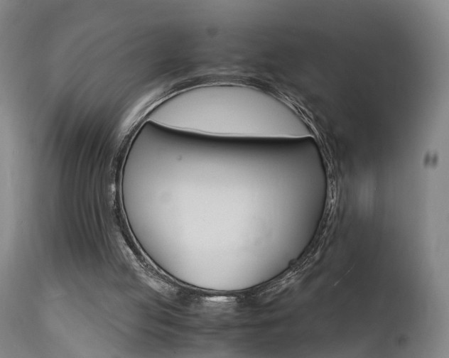 X0000112150053200908071013