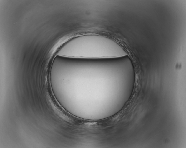 X0000112150054200908071013