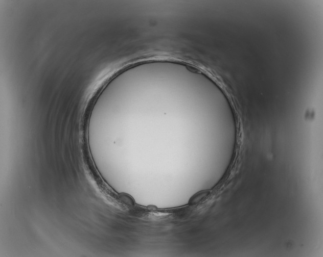 X0000112150055200908071013