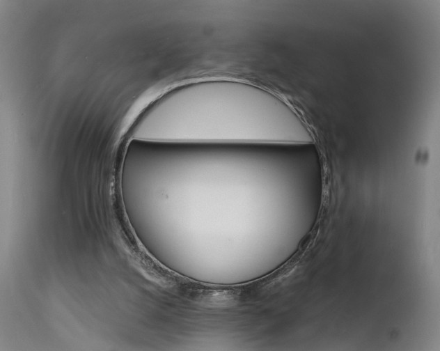 X0000112150056200908071013