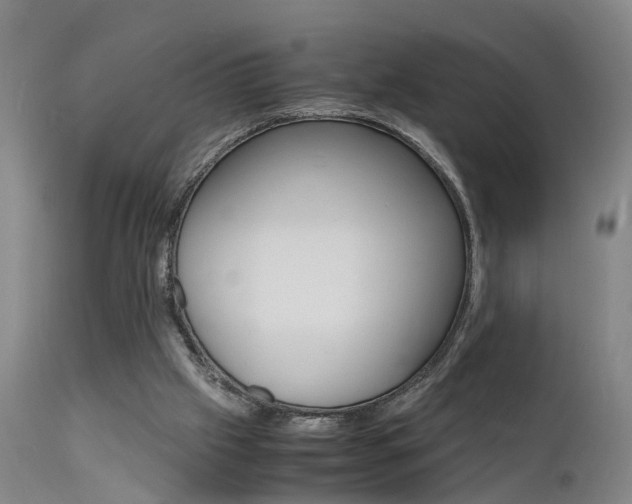 X0000112150057200908071013