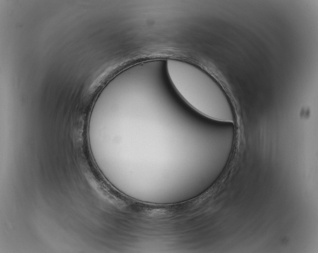 X0000112150058200908071013