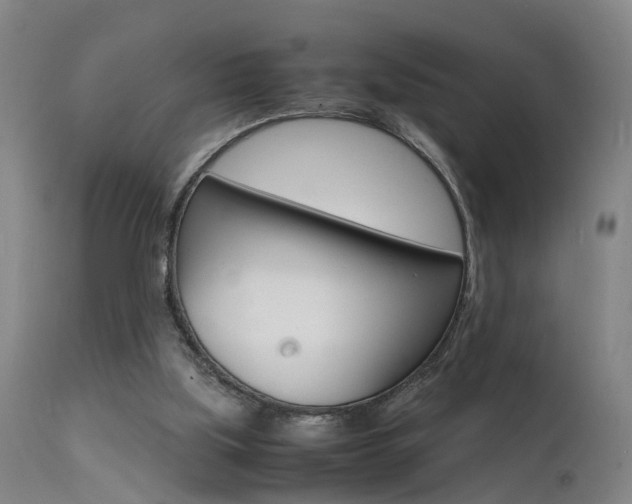 X0000112150059200908071013