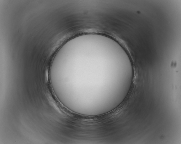 X0000112150061200908071013