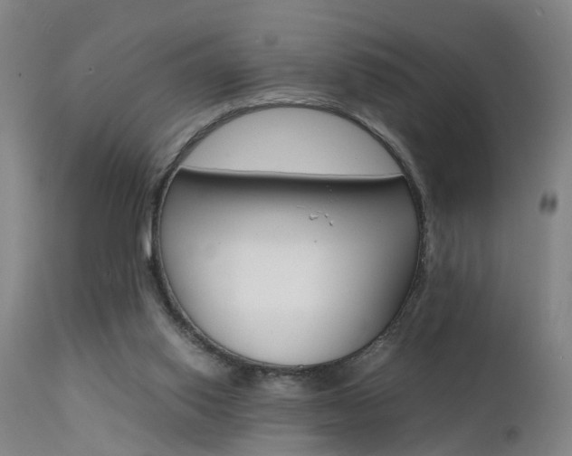 X0000112150062200908071013