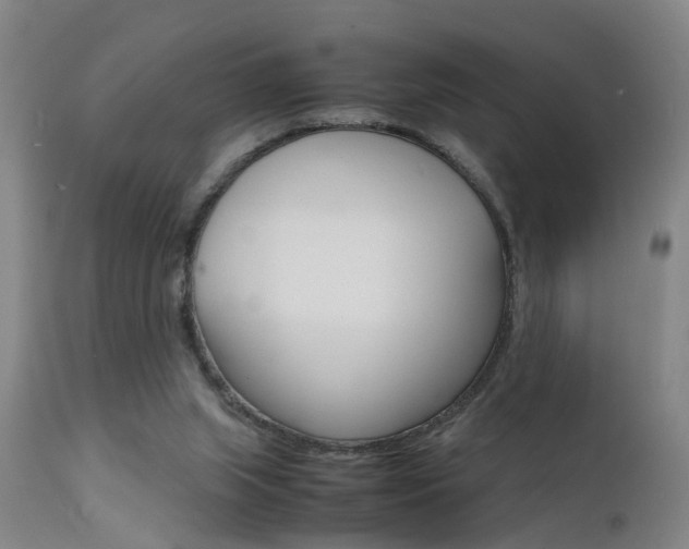 X0000112150063200908071013