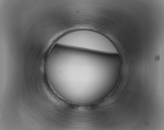 X0000112150064200908071013