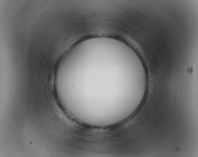 X0000112150065200908071013
