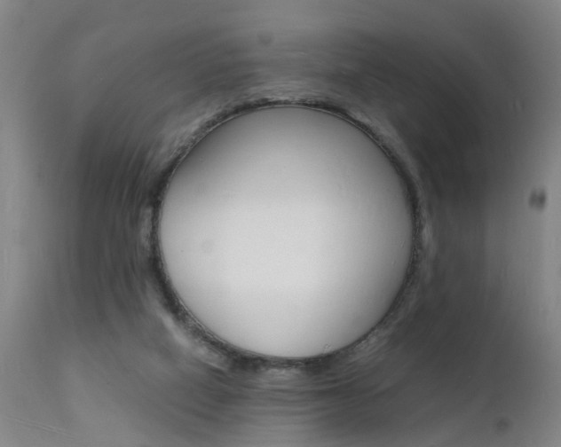 X0000112150066200908071013