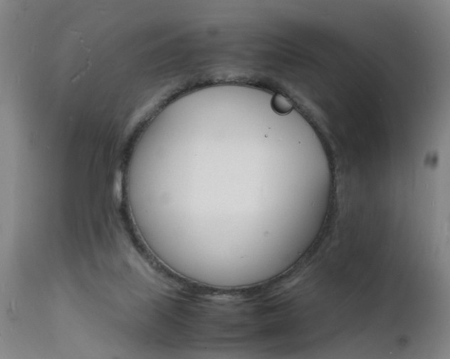 X0000112150067200908071013