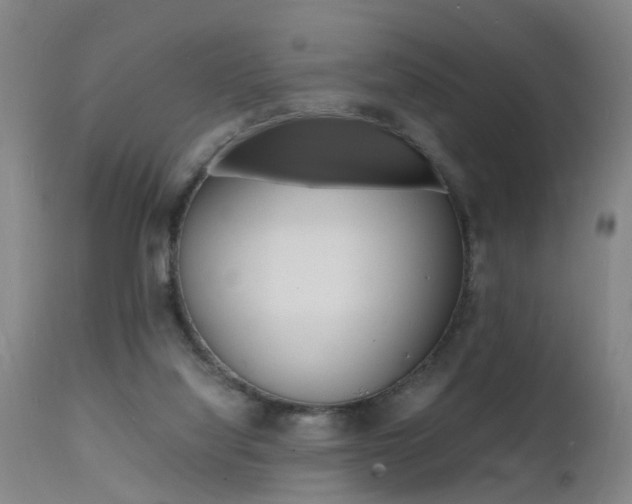 X0000112150068200908071013