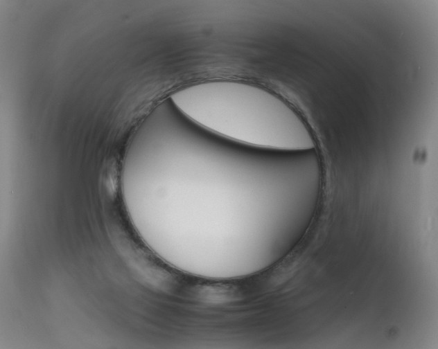 X0000112150069200908071013