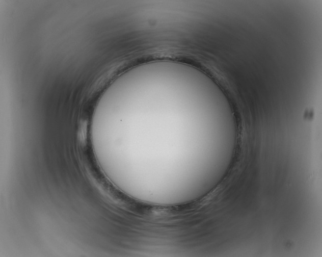 X0000112150070200908071013