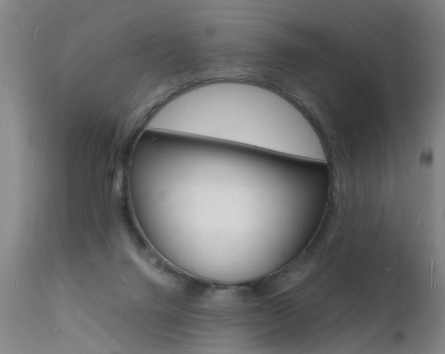 X0000112150072200908071013