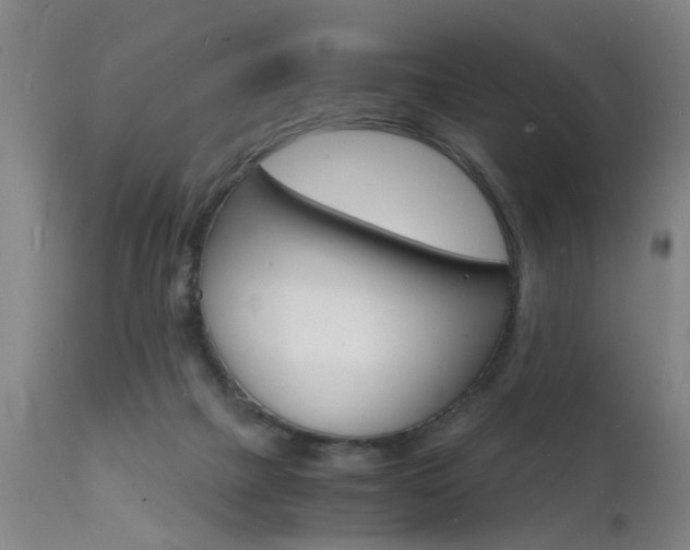 X0000112150073200908071013
