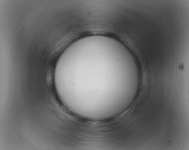 X0000112150074200908071013