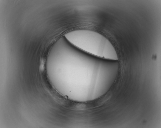X0000112150075200908071013