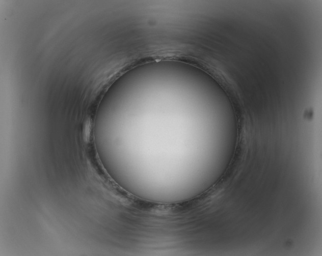 X0000112150076200908071013