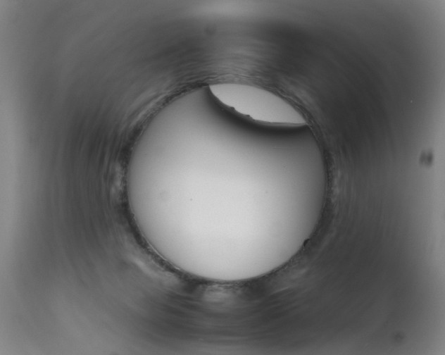 X0000112150077200908071013