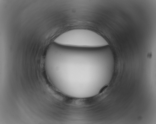 X0000112150078200908071013