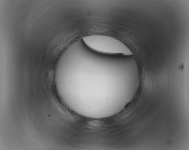 X0000112150079200908071013