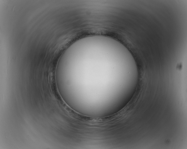 X0000112150080200908071013