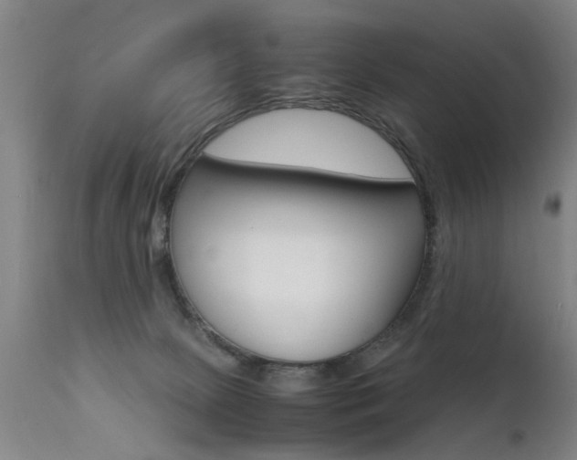 X0000112150081200908071013
