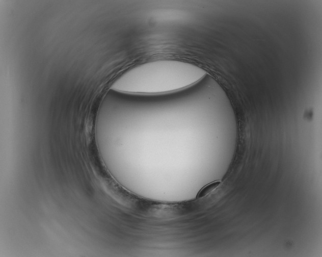 X0000112150082200908071013