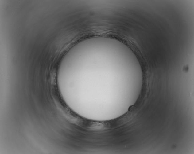X0000112150083200908071013