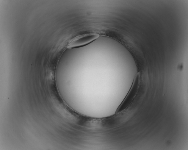 X0000112150084200908071013