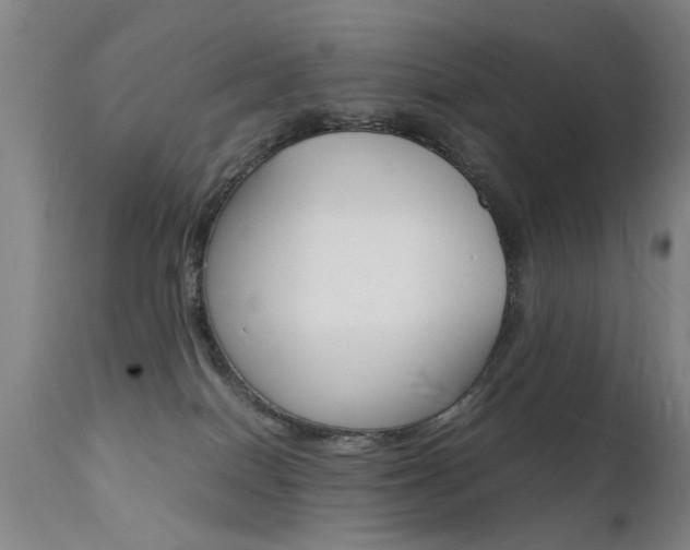 X0000112150086200908071013
