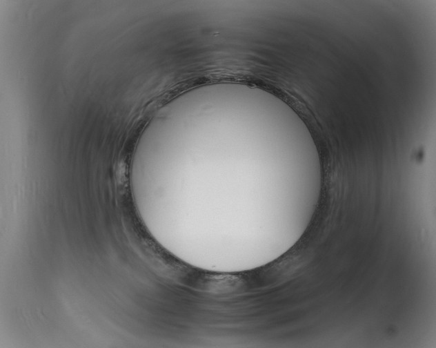 X0000112150087200908071013