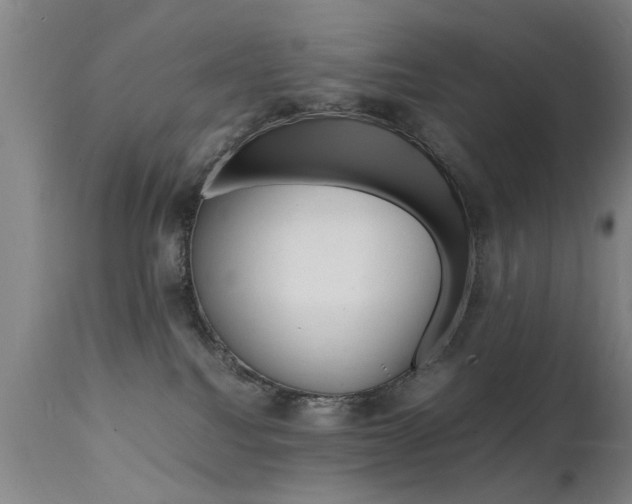 X0000112150088200908071013