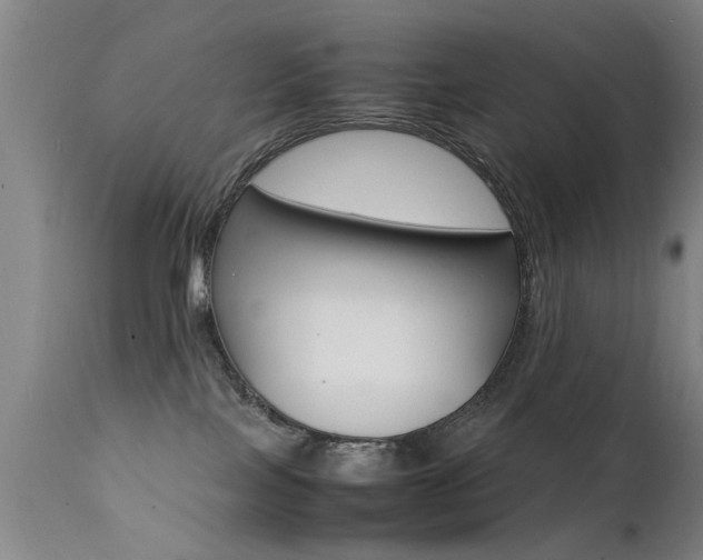 X0000112150089200908071013