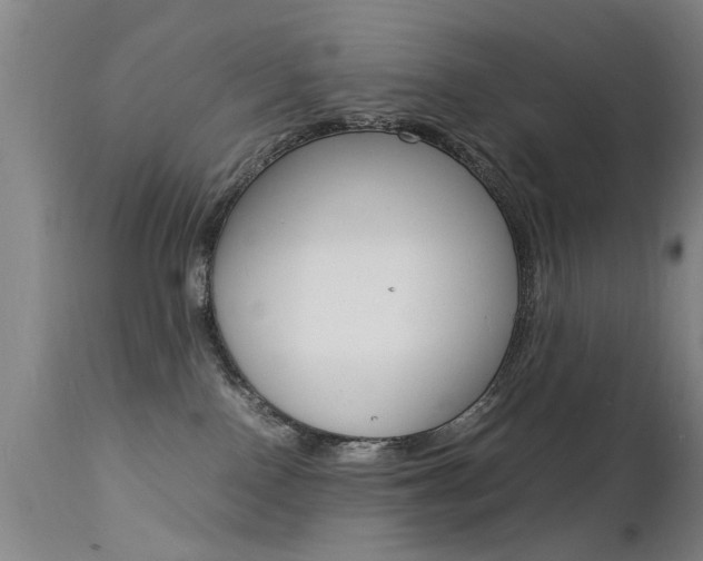 X0000112150090200908071013