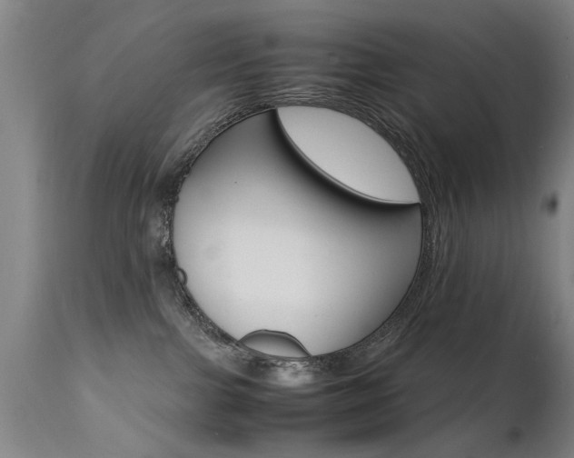 X0000112150091200908071013