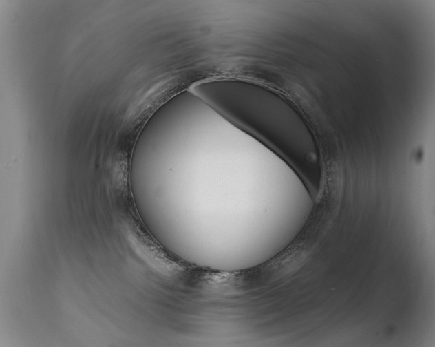 X0000112150092200908071013