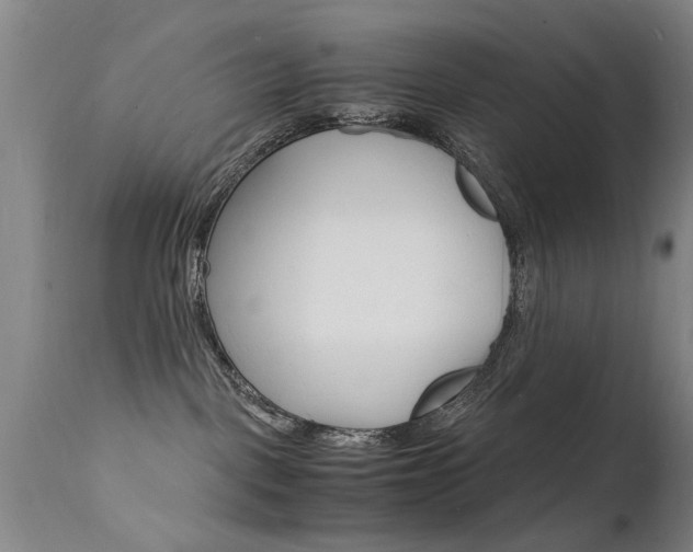X0000112150093200908071013
